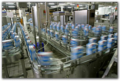 Arena simulation consultants - factory